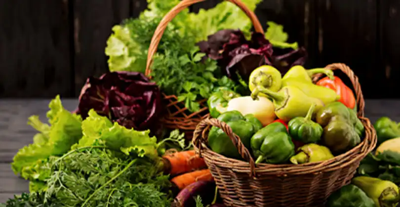 Organic Food Range